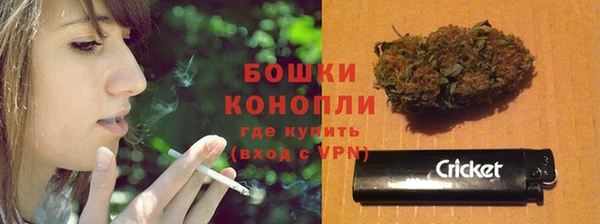 дмт Пересвет