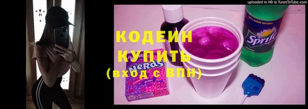 крисы Абаза