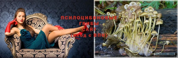 каннабис Абдулино