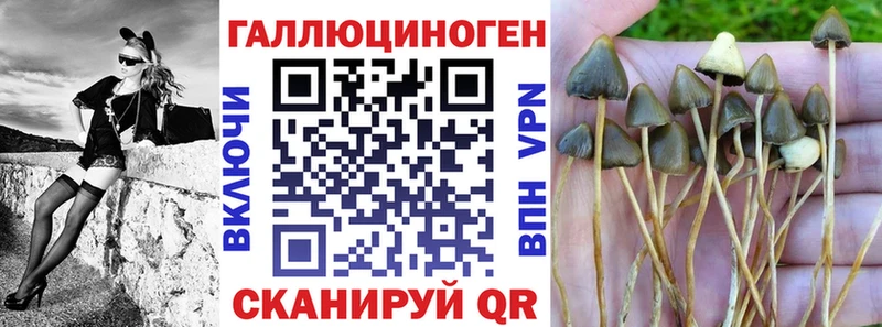 Галлюциногенные грибы ЛСД  Скопин 
