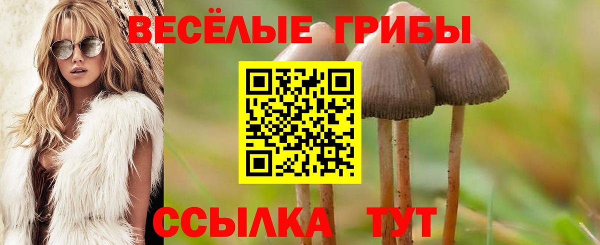Галлюциногенные грибы прущие грибы  Вход с VPN  купить закладку  Скопин  Галлюциногенные грибы GOLDEN TEACHER 